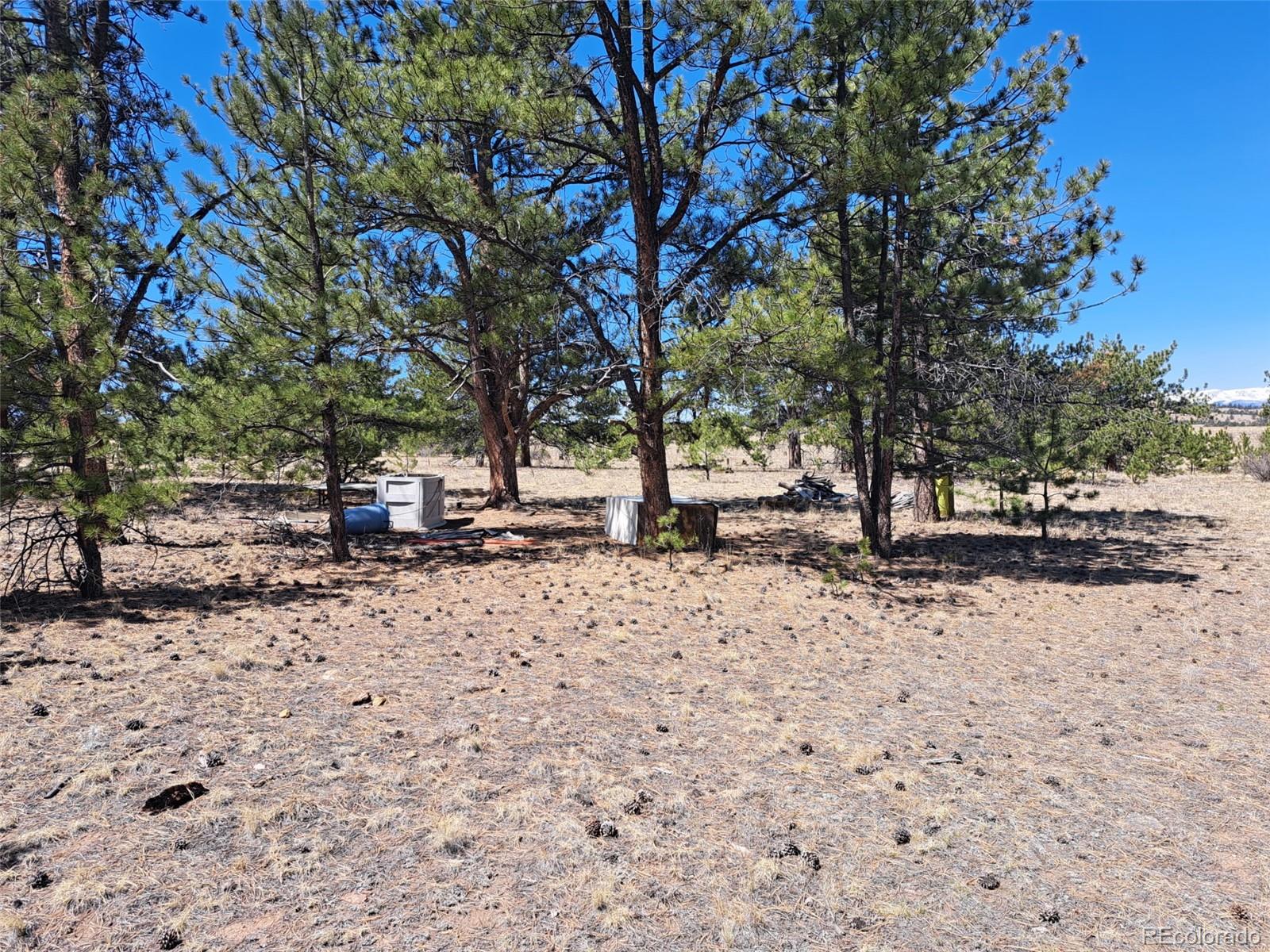 235 Maricopa Trail Hartsel CO 80449
