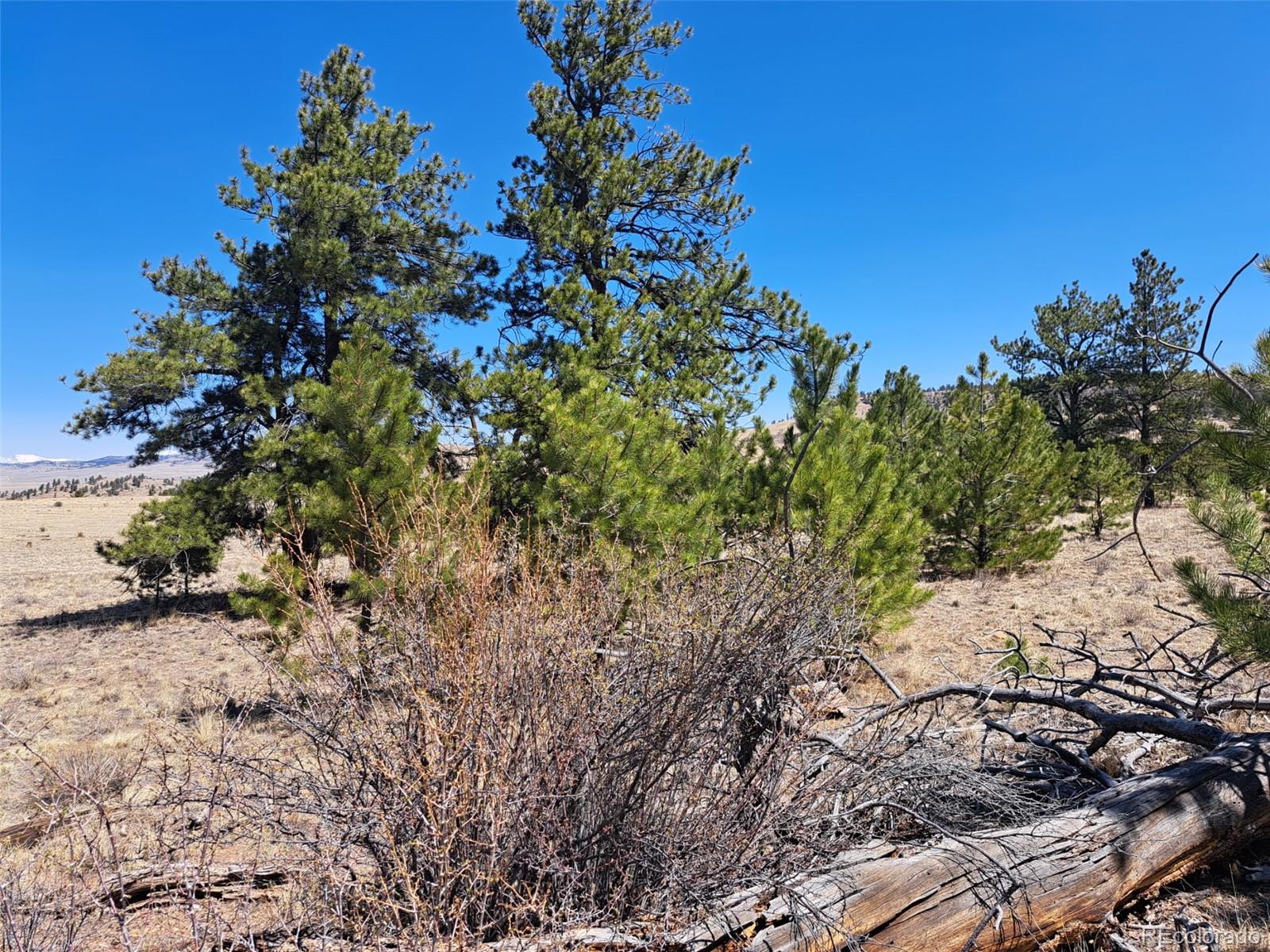 235 Maricopa Trail Hartsel CO 80449