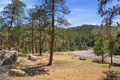 27559 Fireweed Drive Evergreen CO 80439