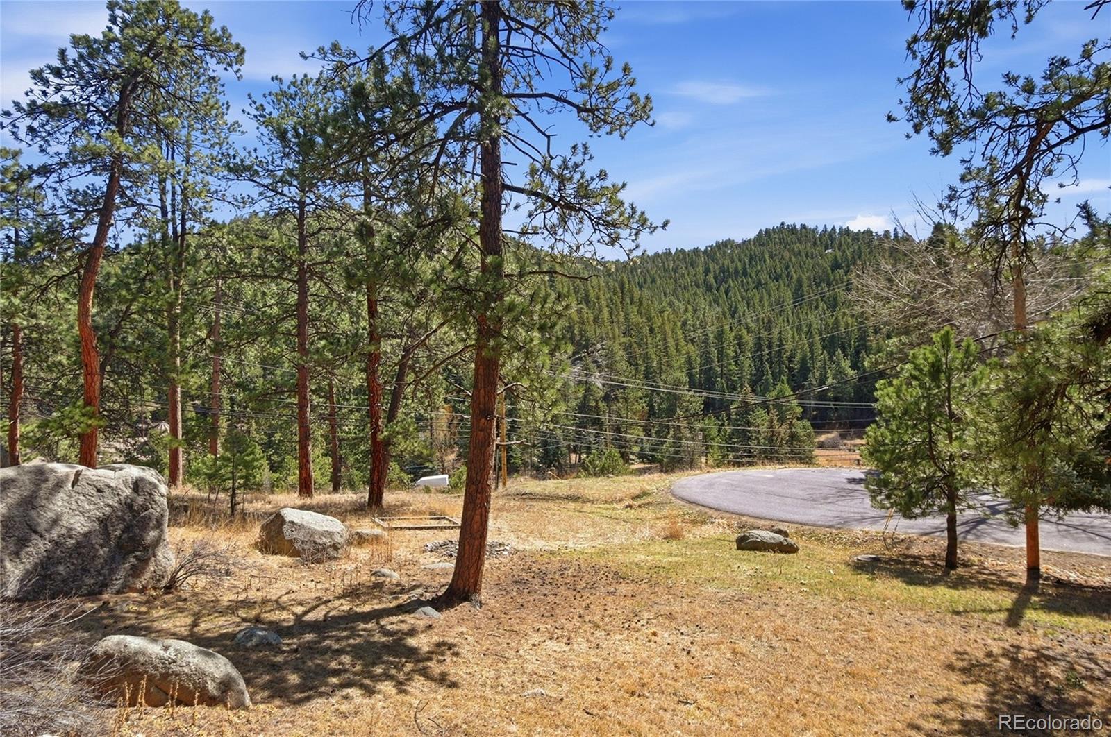 27559 Fireweed Drive Evergreen CO 80439