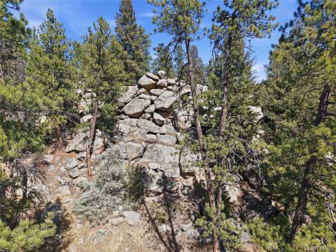 27559 Fireweed Drive Evergreen CO 80439
