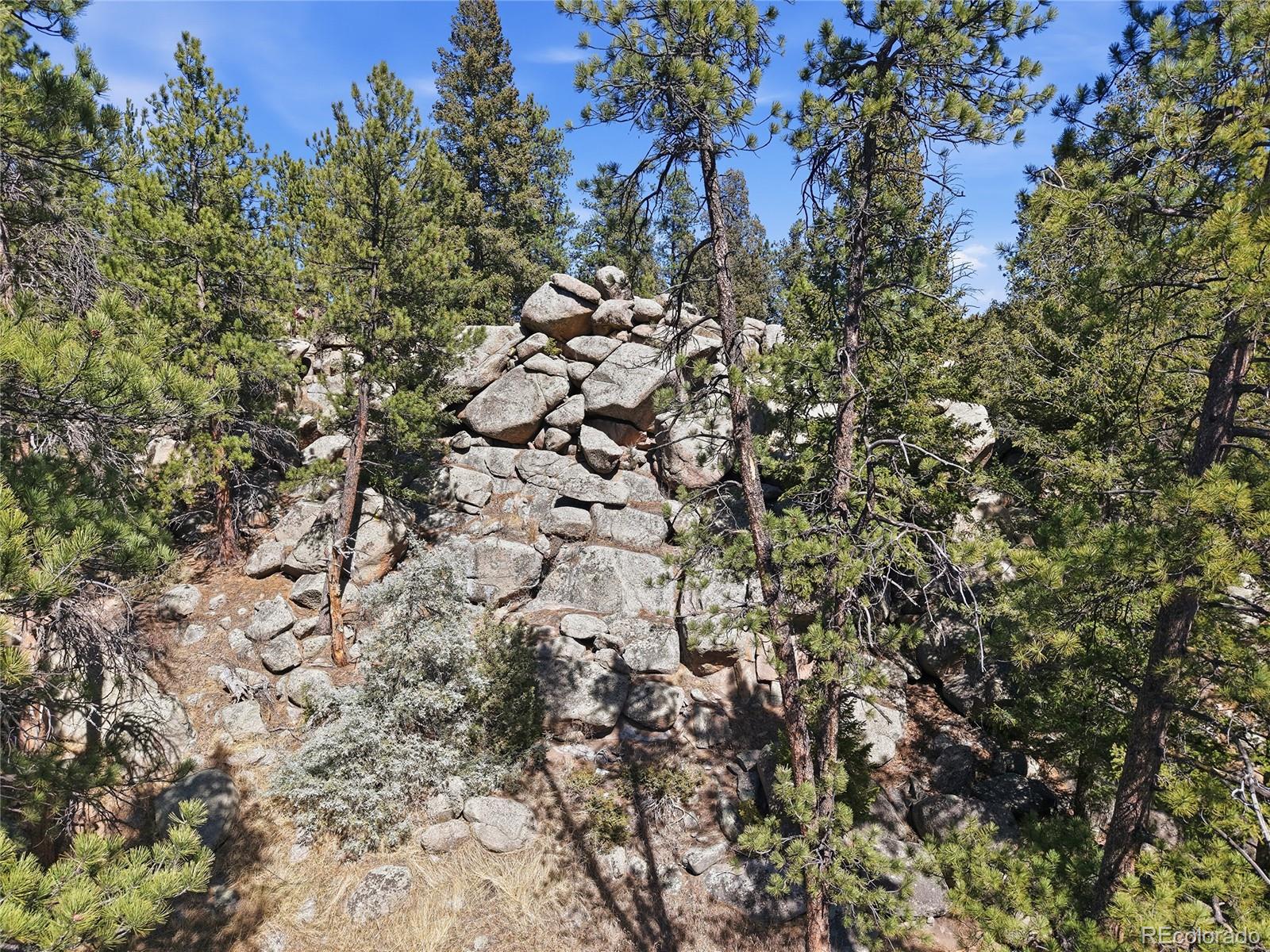 27559 Fireweed Drive Evergreen CO 80439