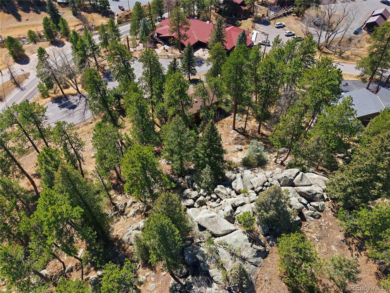 27559 Fireweed Drive Evergreen CO 80439