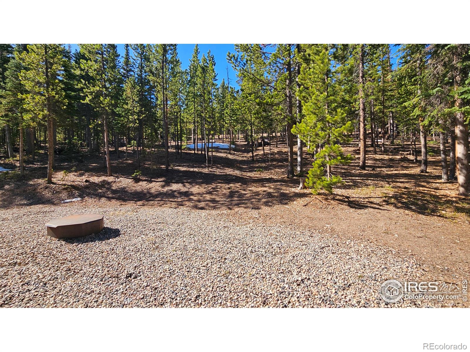 2320 Ottawa Way Red Feather Lakes CO 80545