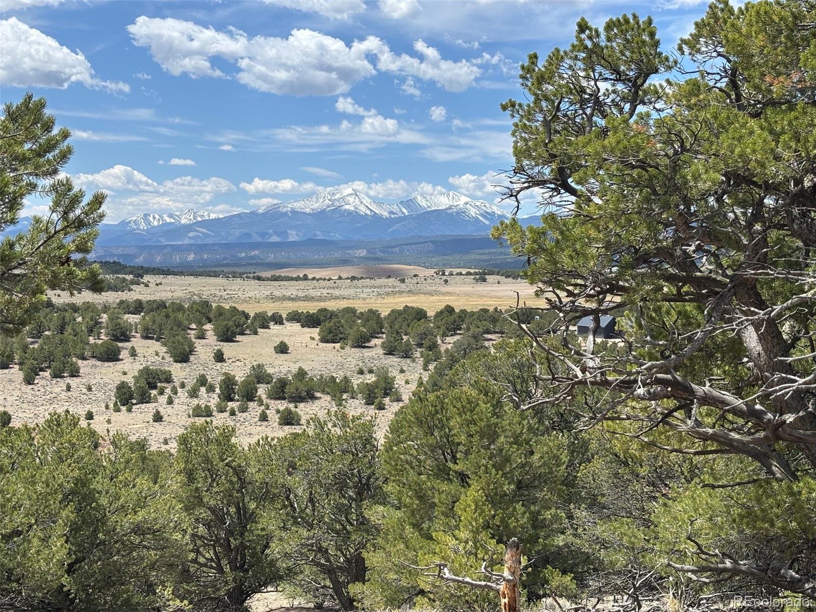 10314 Rawhide Creek Road Nathrop CO 81236