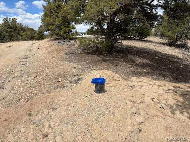10314 Rawhide Creek Road Nathrop CO 81236