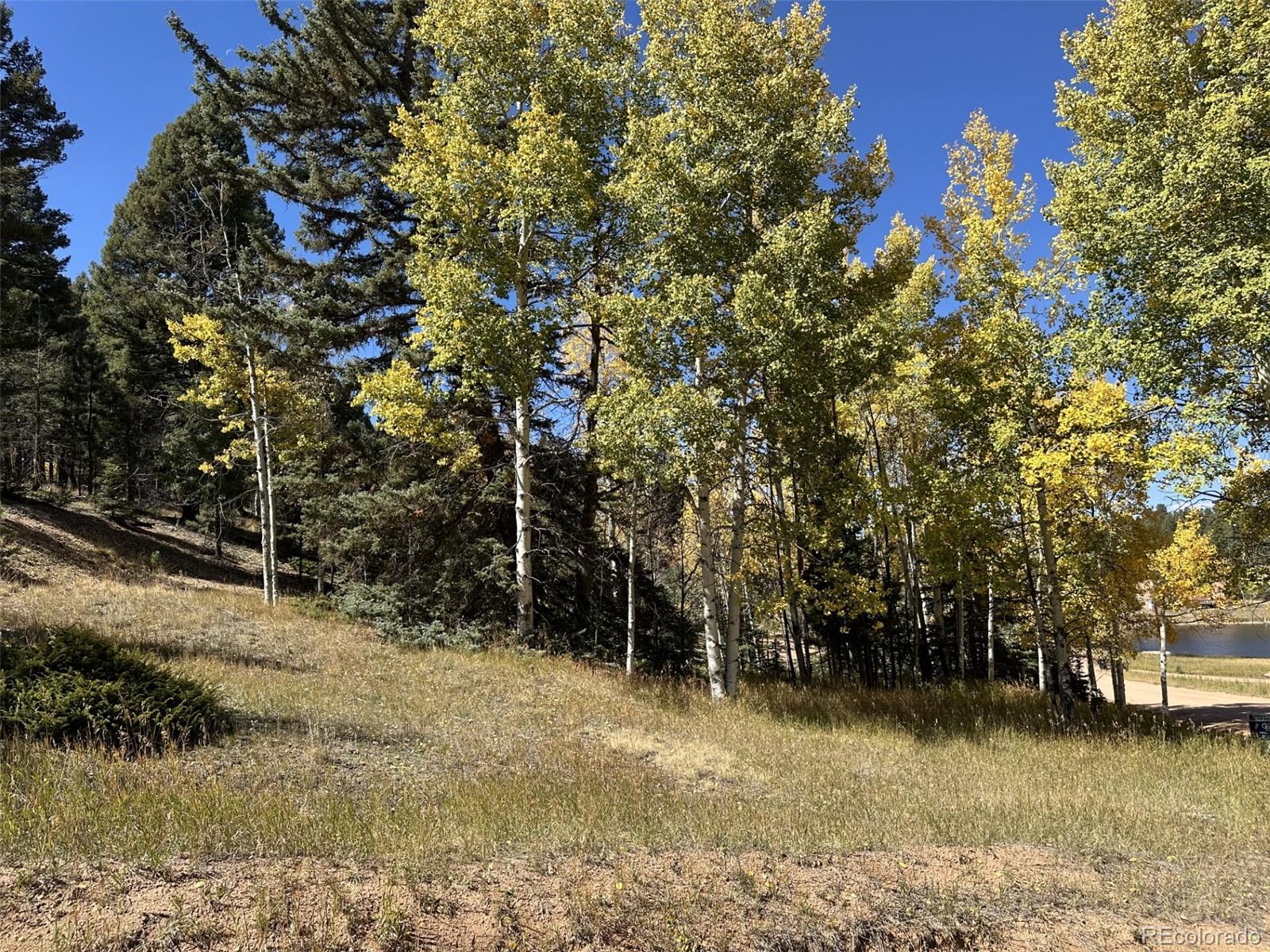 244 Spring Valley Lane Florissant CO 80816