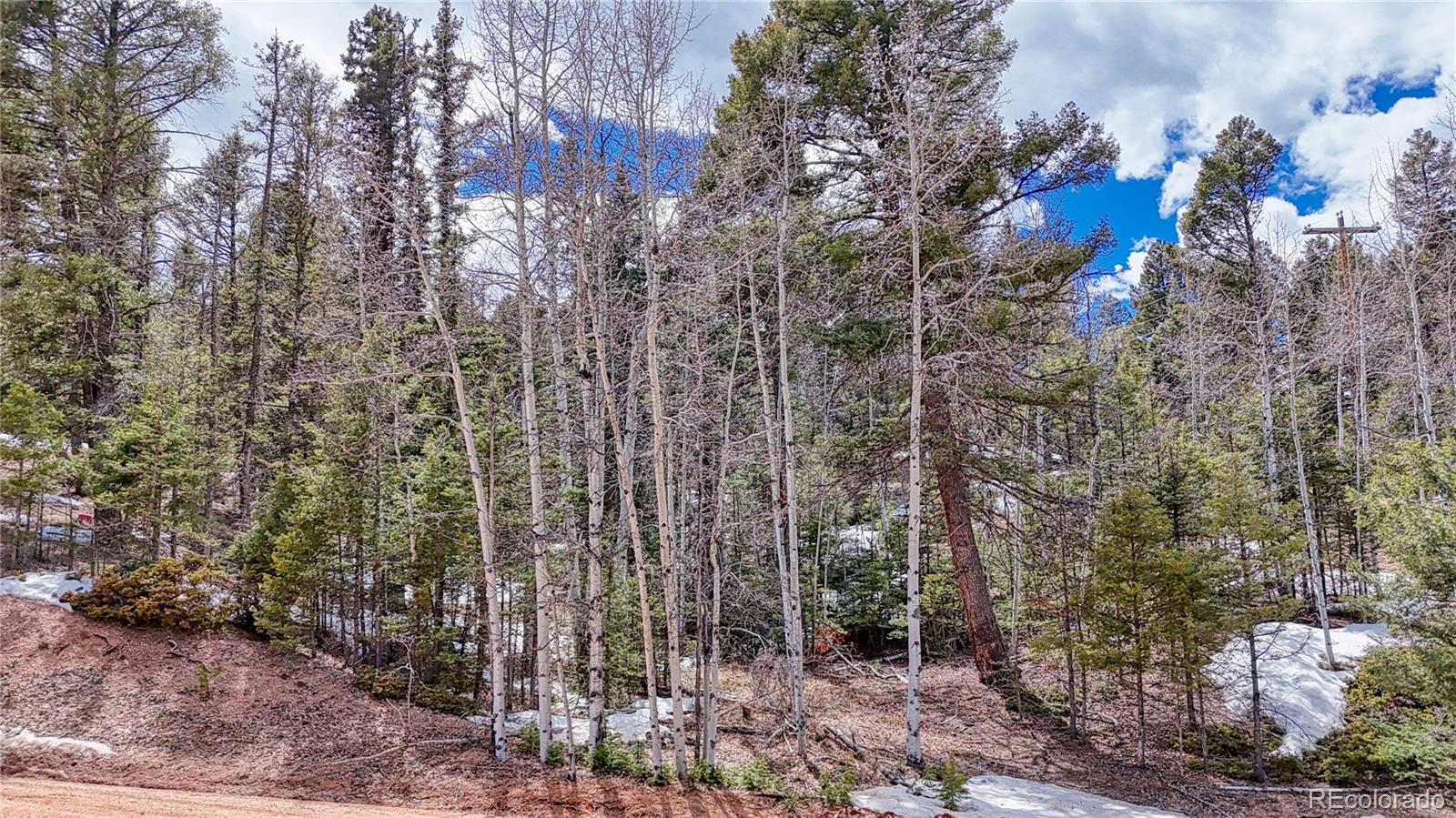 244 Spring Valley Lane Florissant CO 80816