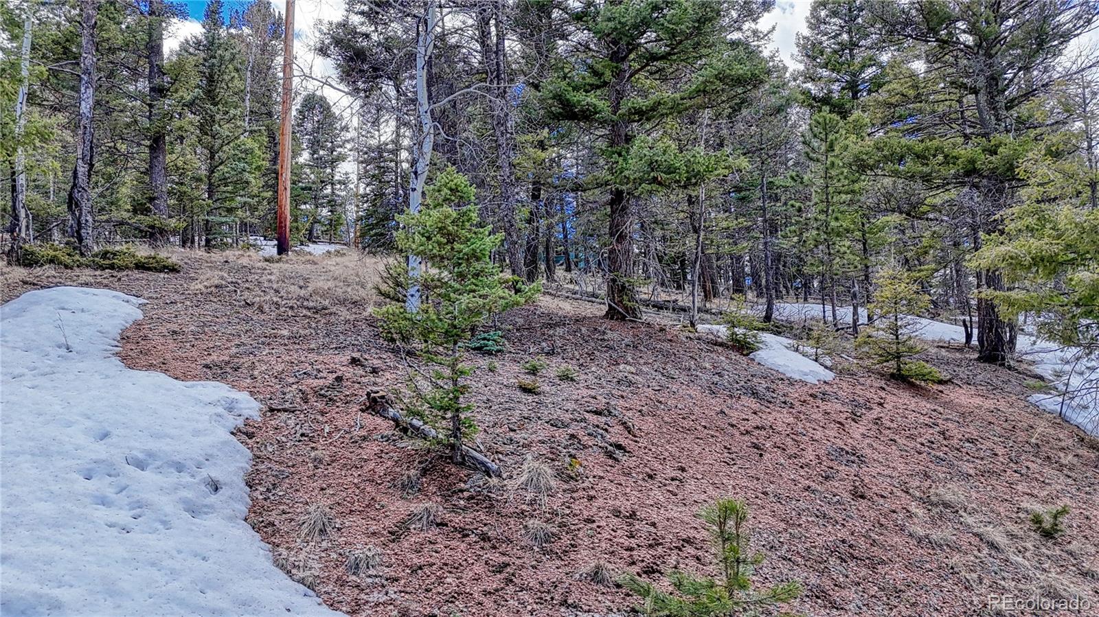 244 Spring Valley Lane Florissant CO 80816