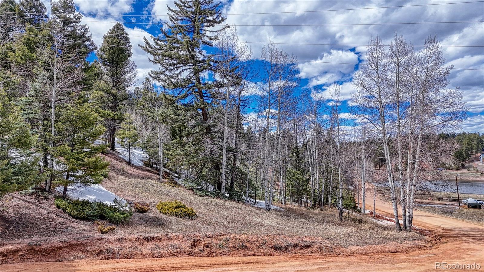 244 Spring Valley Lane Florissant CO 80816