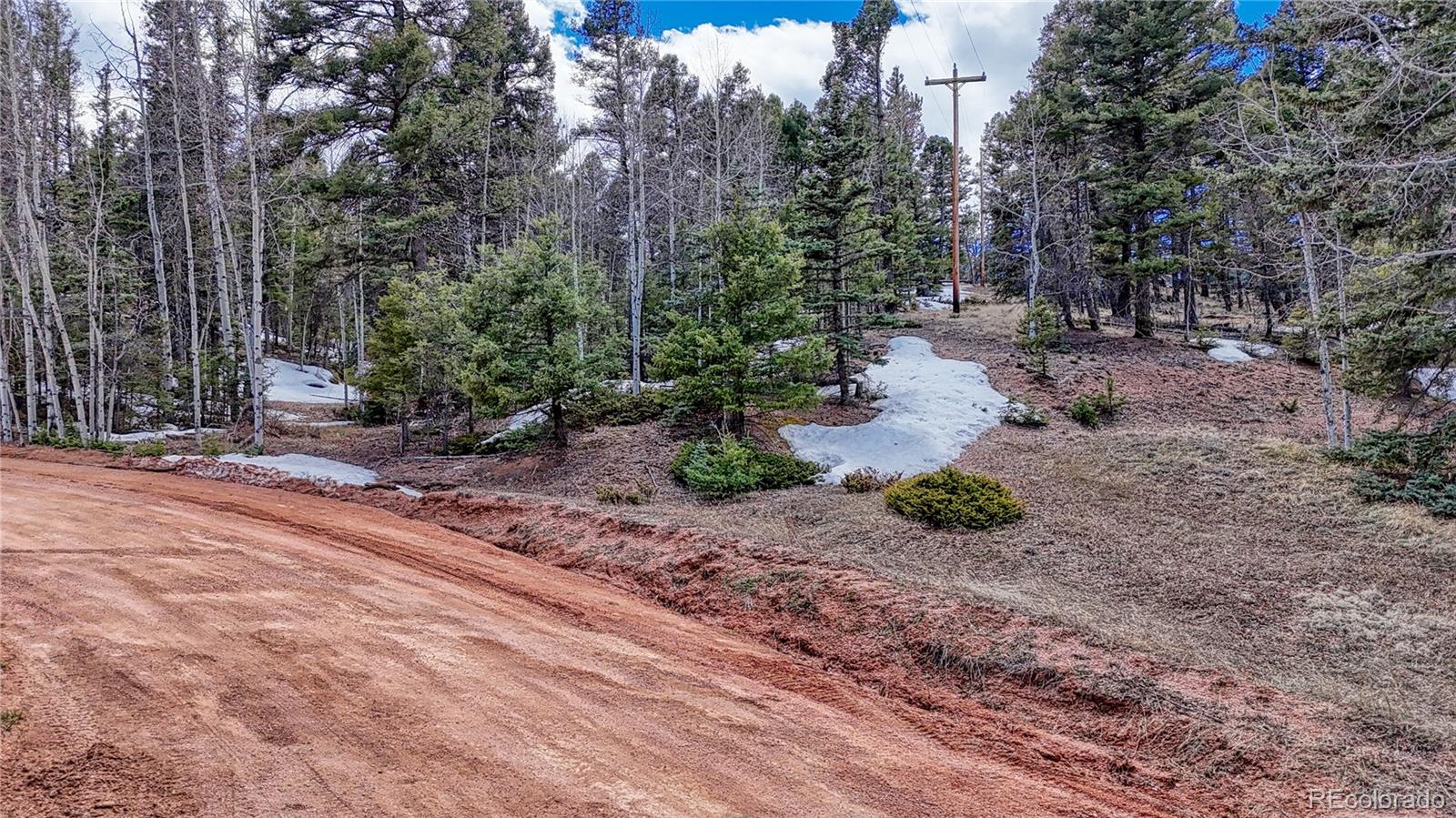 244 Spring Valley Lane Florissant CO 80816