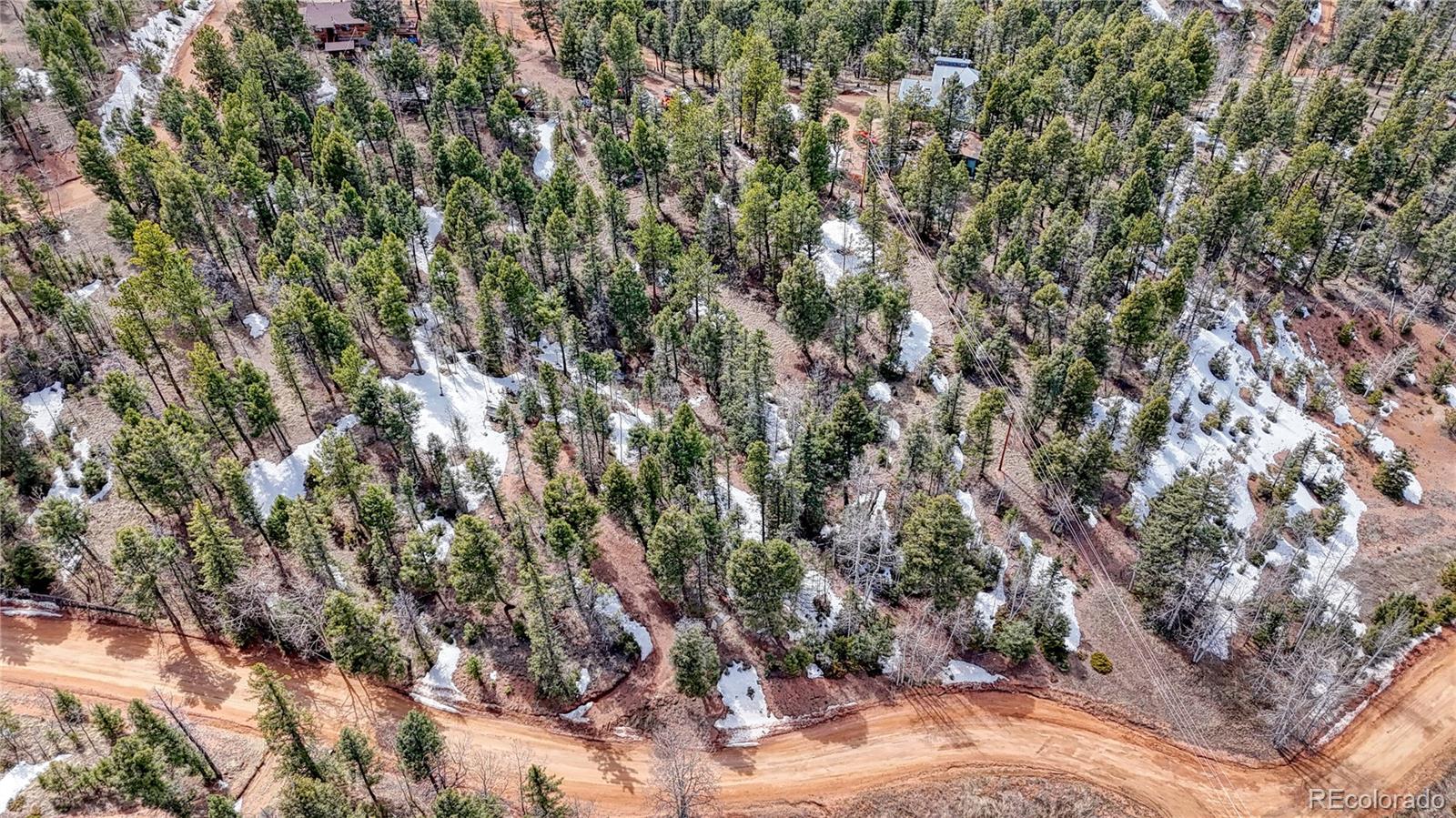 244 Spring Valley Lane Florissant CO 80816