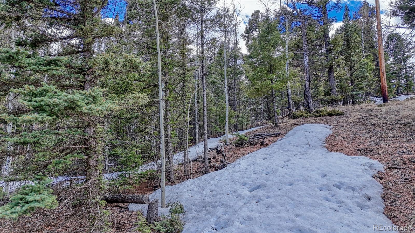 244 Spring Valley Lane Florissant CO 80816