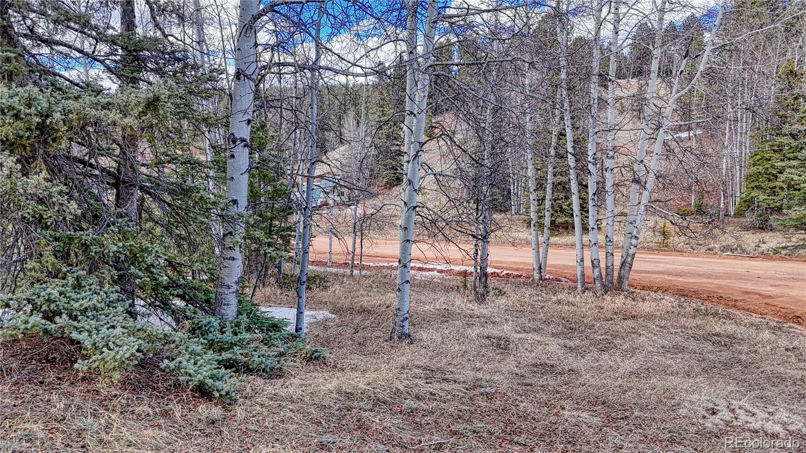 244 Spring Valley Lane Florissant CO 80816
