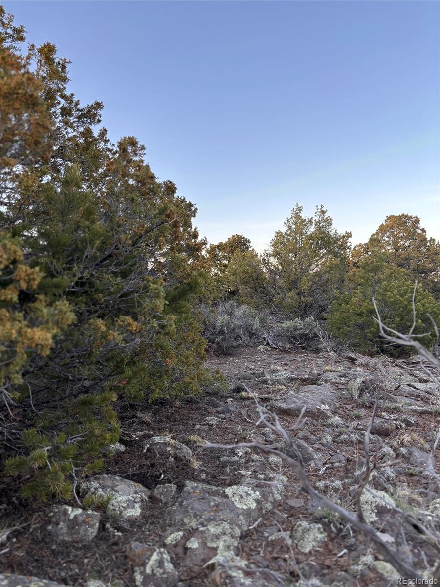 000 East View Lane San Luis CO 81152