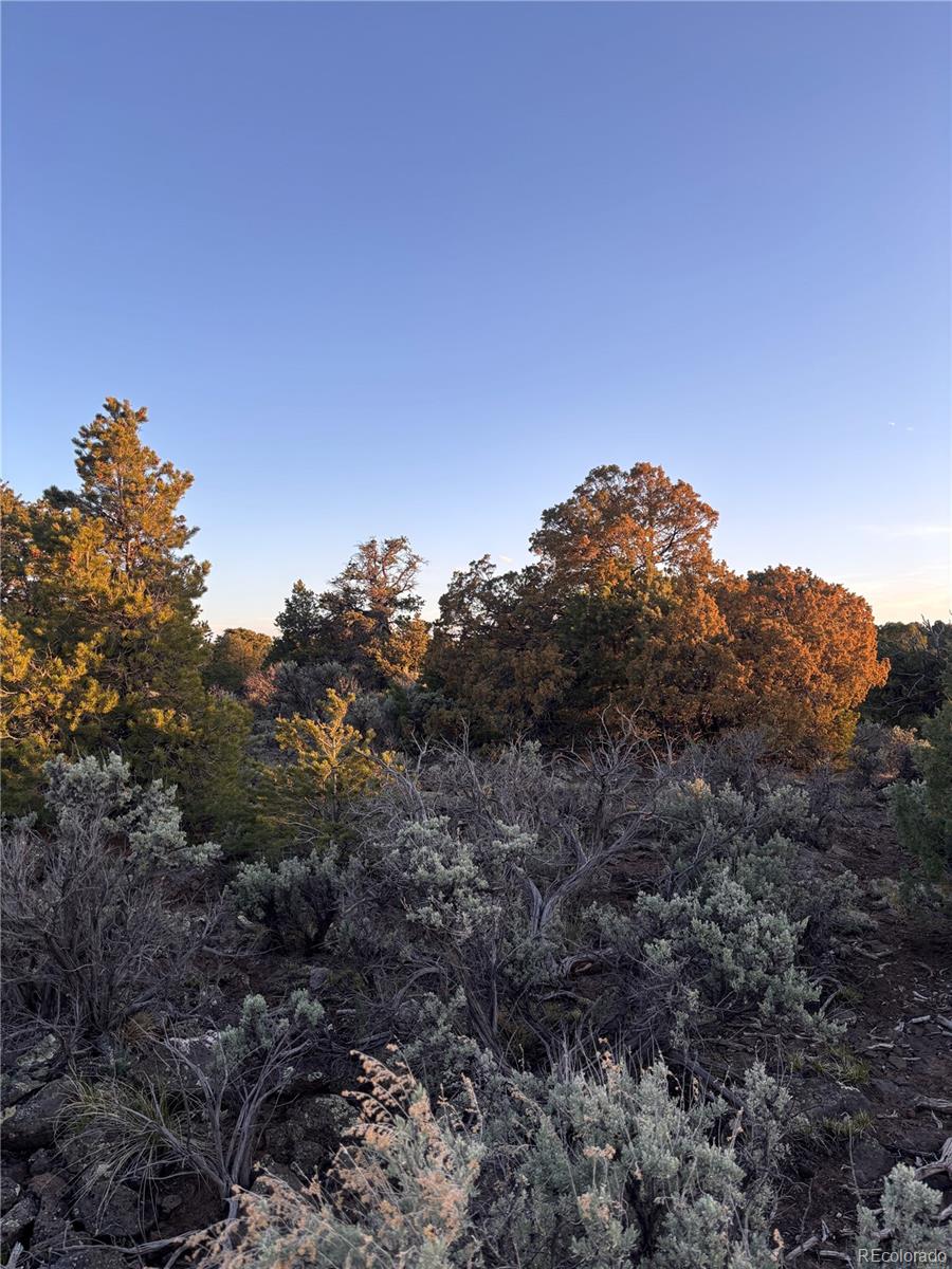 000 East View Lane San Luis CO 81152