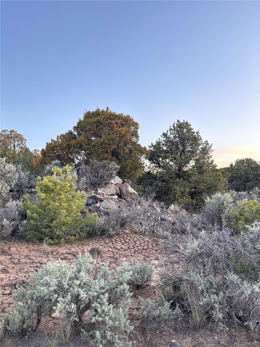 000 East View Lane San Luis CO 81152