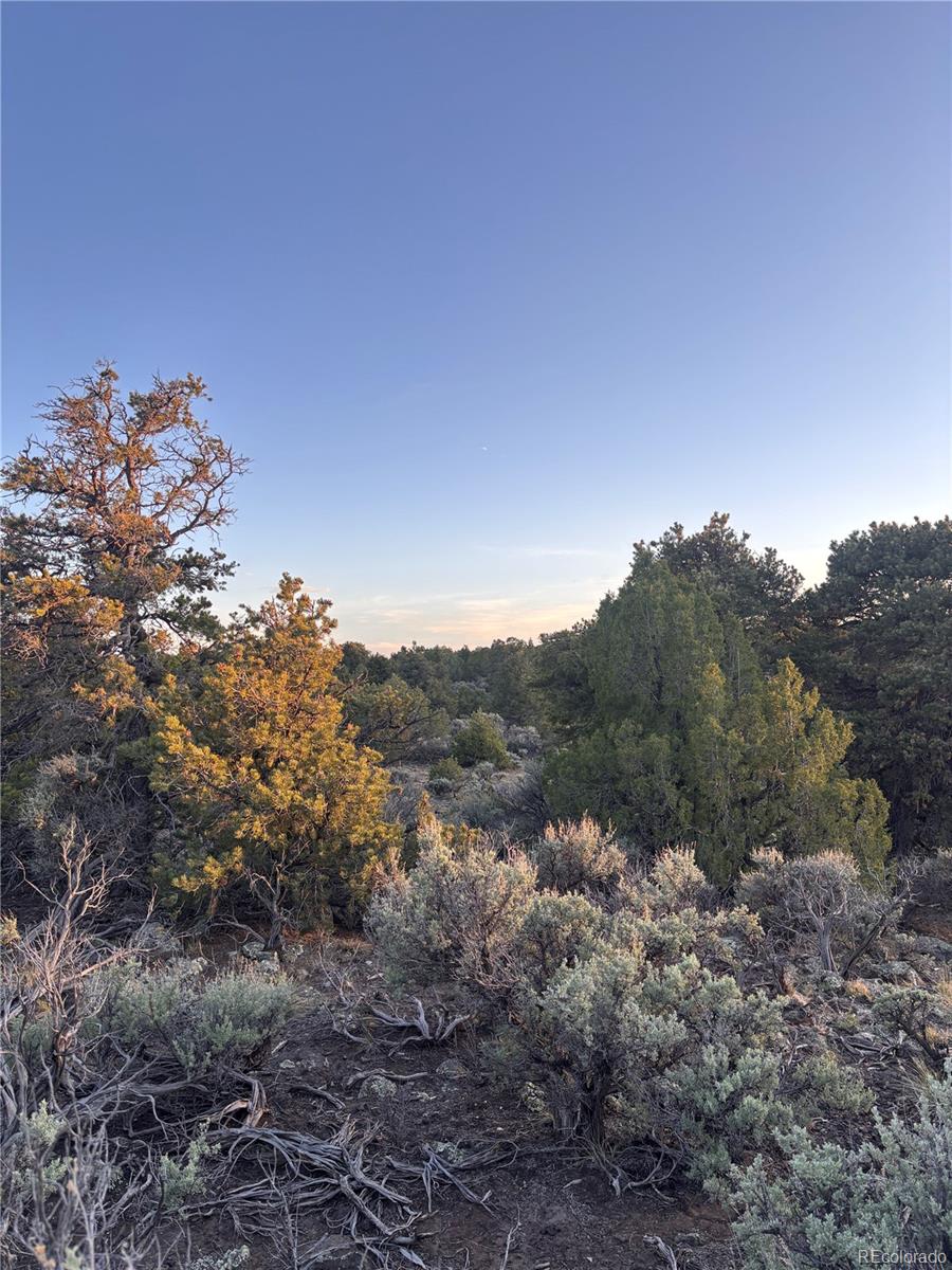 000 East View Lane San Luis CO 81152