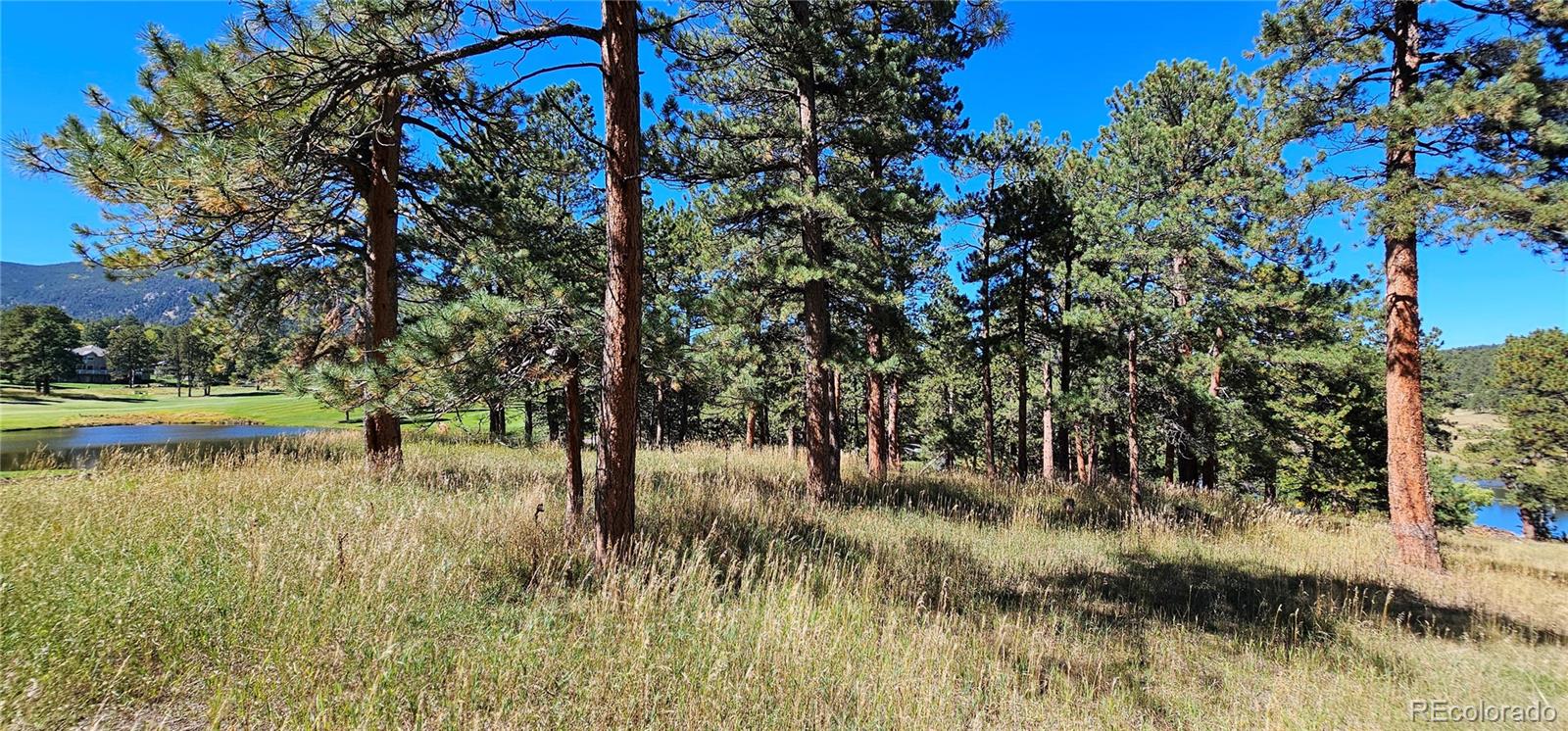Lot 363 Interlocken Court Evergreen CO 80439