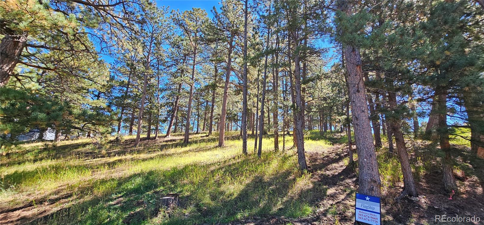 Lot 363 Interlocken Court Evergreen CO 80439
