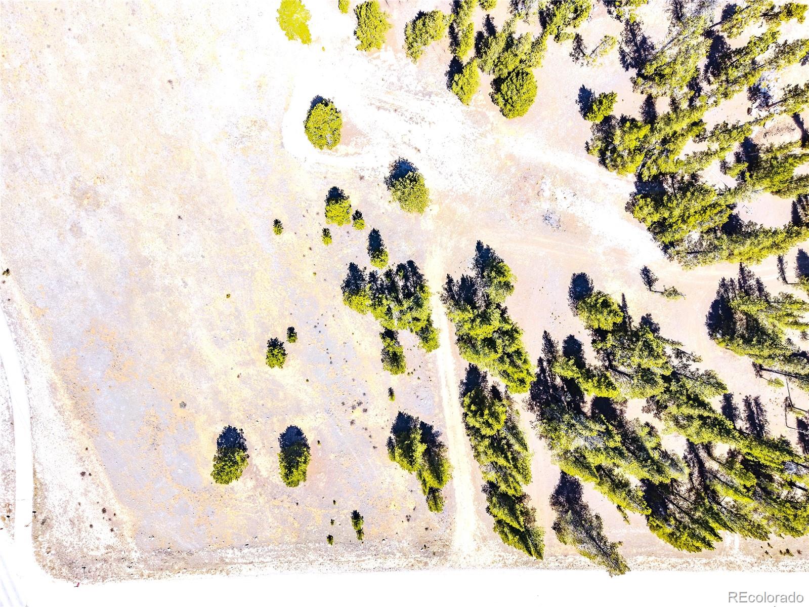 15 Placer Drive Alma CO 80420