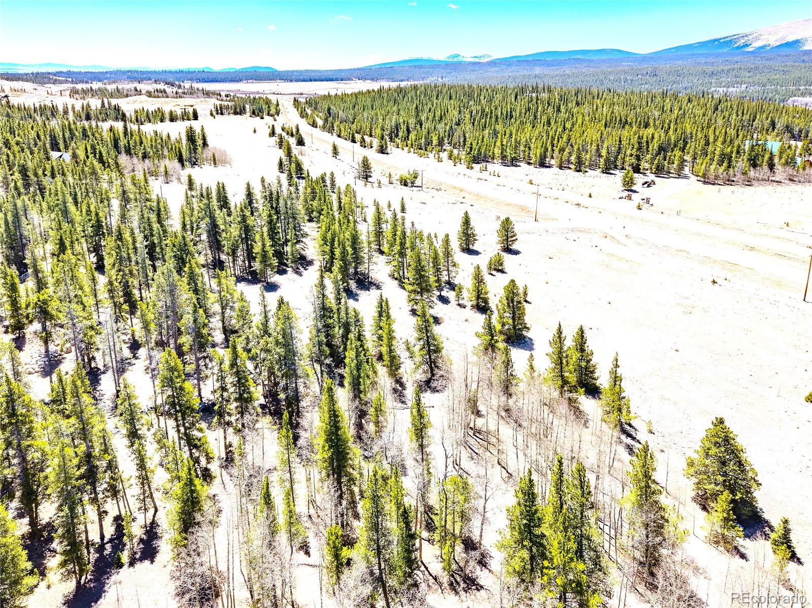 15 Placer Drive Alma CO 80420