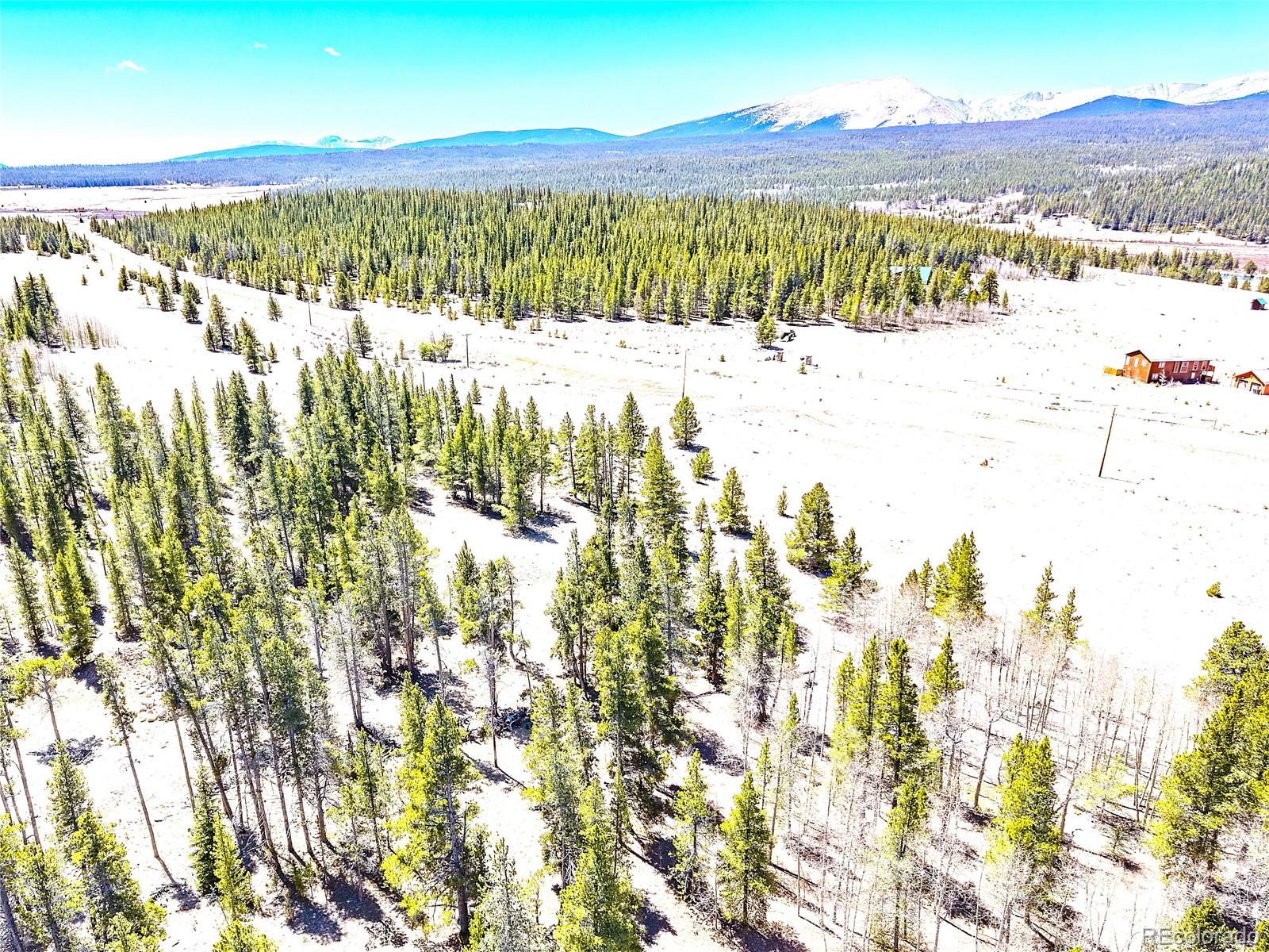 15 Placer Drive Alma CO 80420