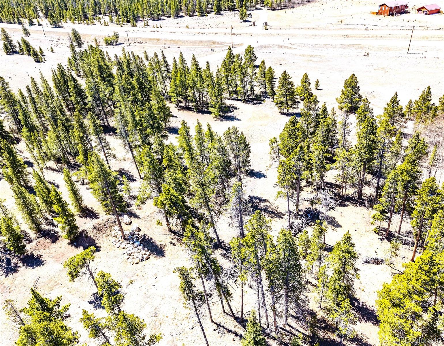 15 Placer Drive Alma CO 80420