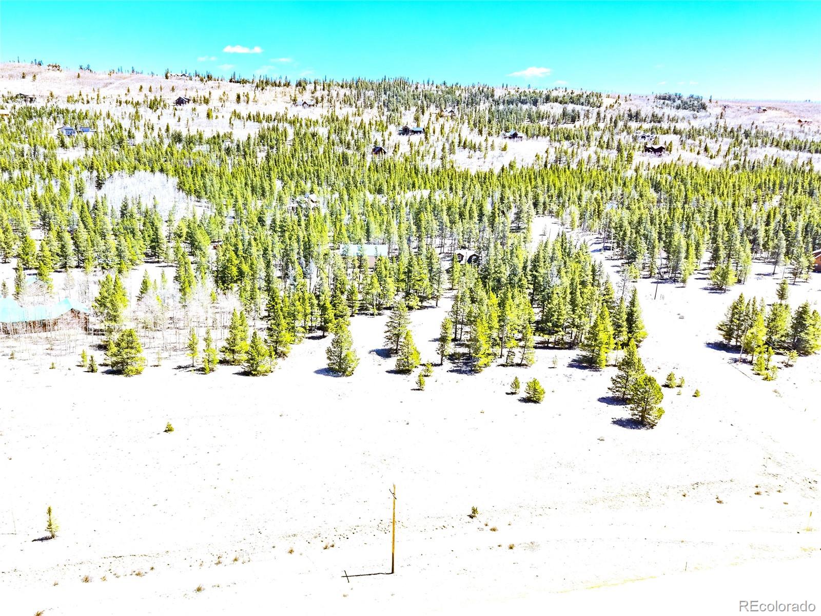 15 Placer Drive Alma CO 80420