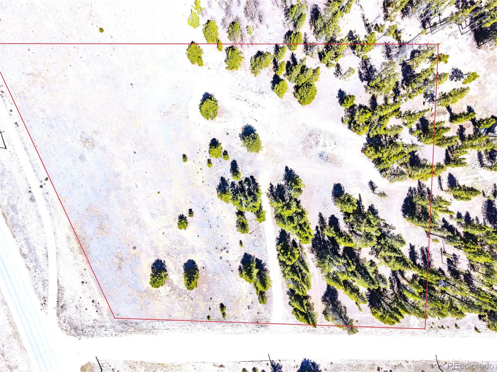 15 Placer Drive Alma CO 80420