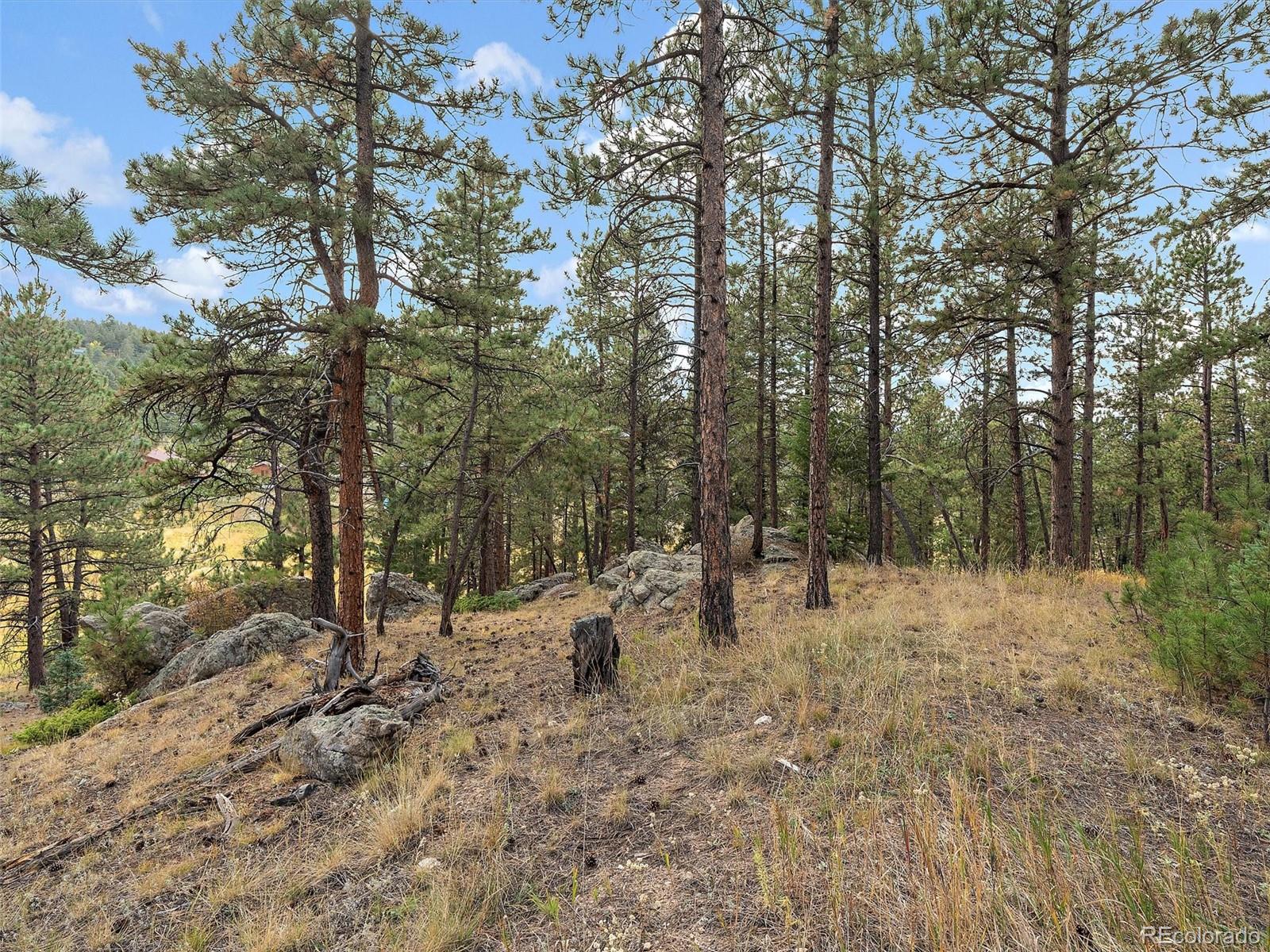 28155 Cragmont Evergreen CO 80439