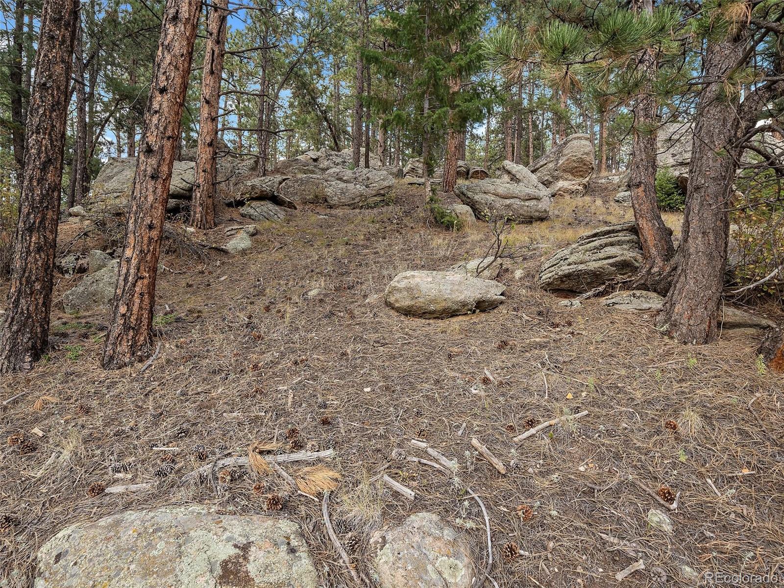 28155 Cragmont Evergreen CO 80439