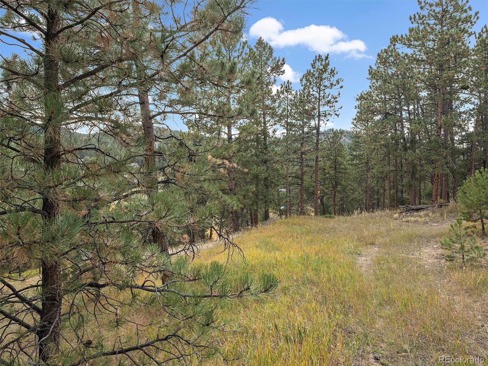 28155 Cragmont Evergreen CO 80439
