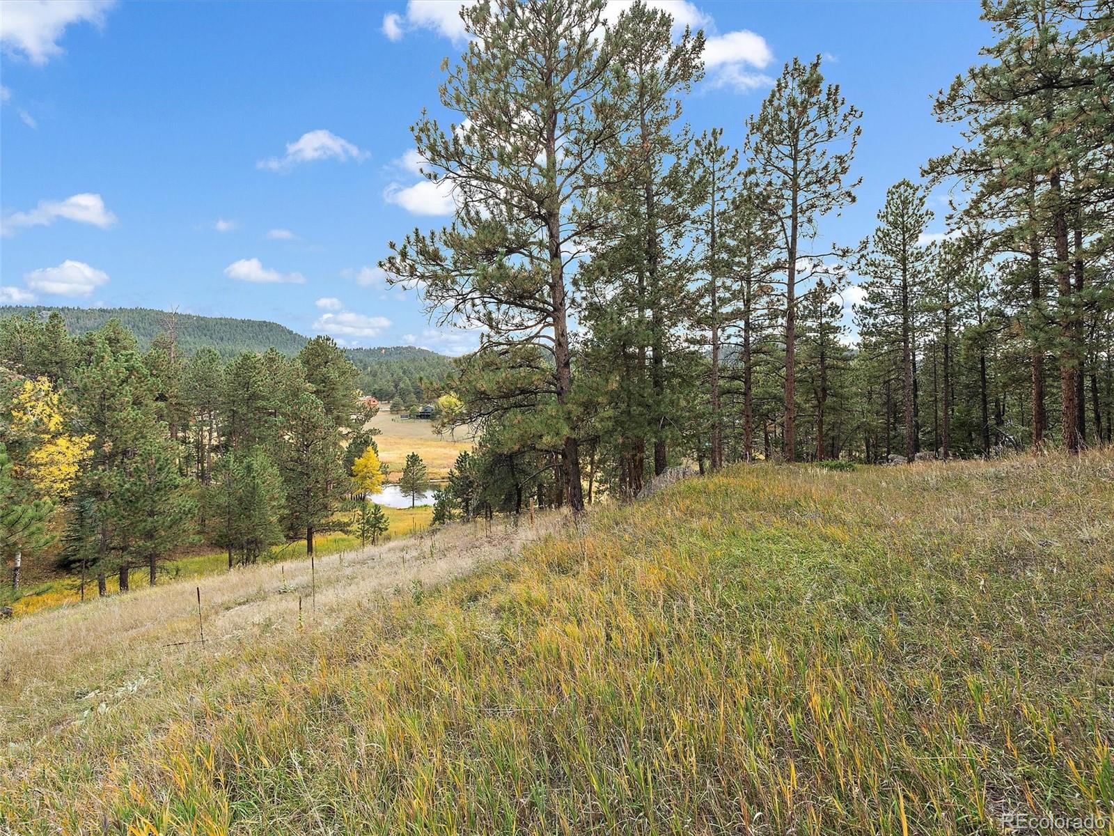 28155 Cragmont Evergreen CO 80439