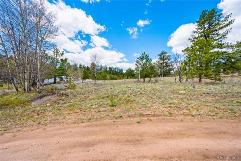 121 Bridle Lane Florissant CO 80816