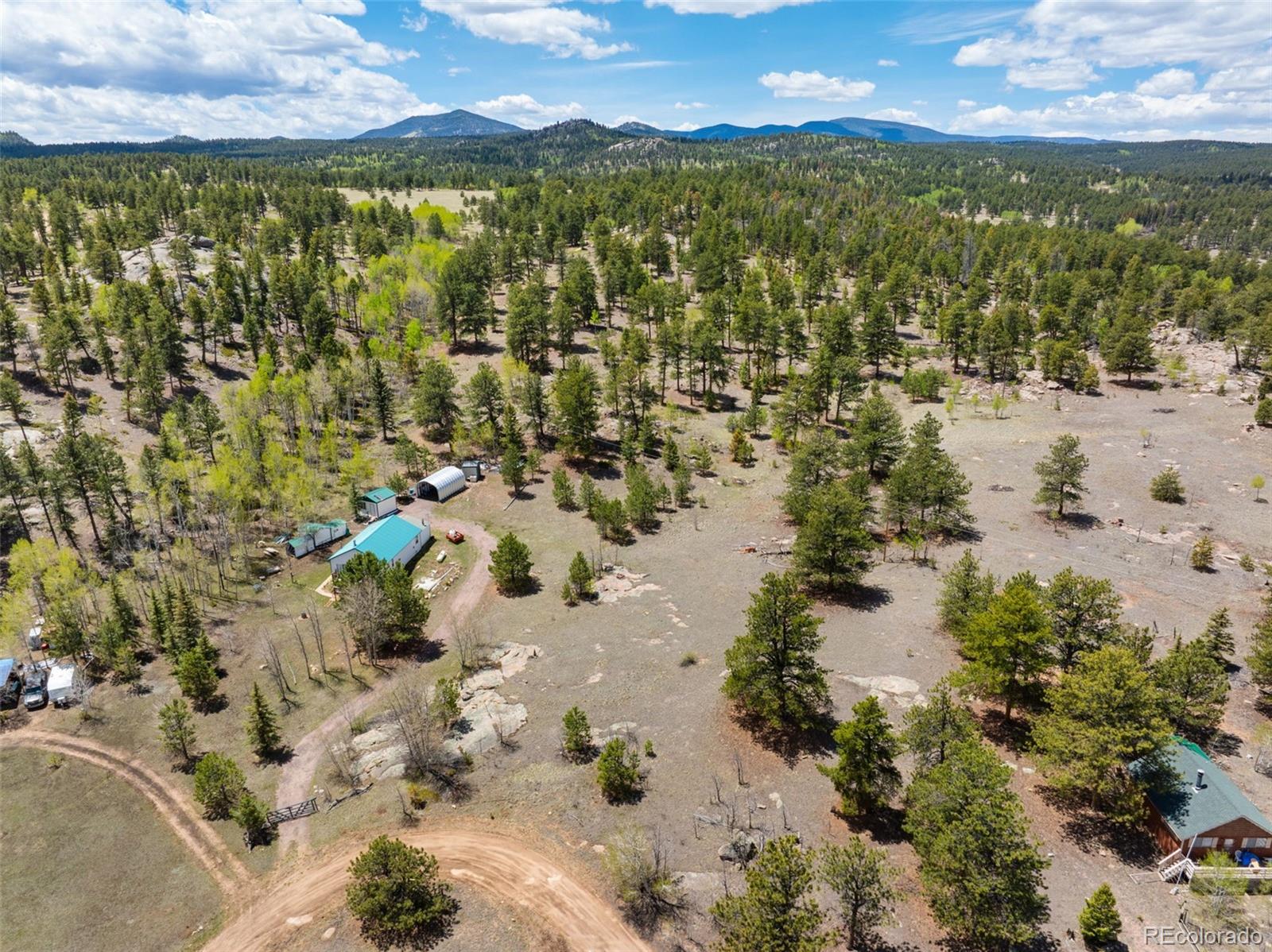 121 Bridle Lane Florissant CO 80816