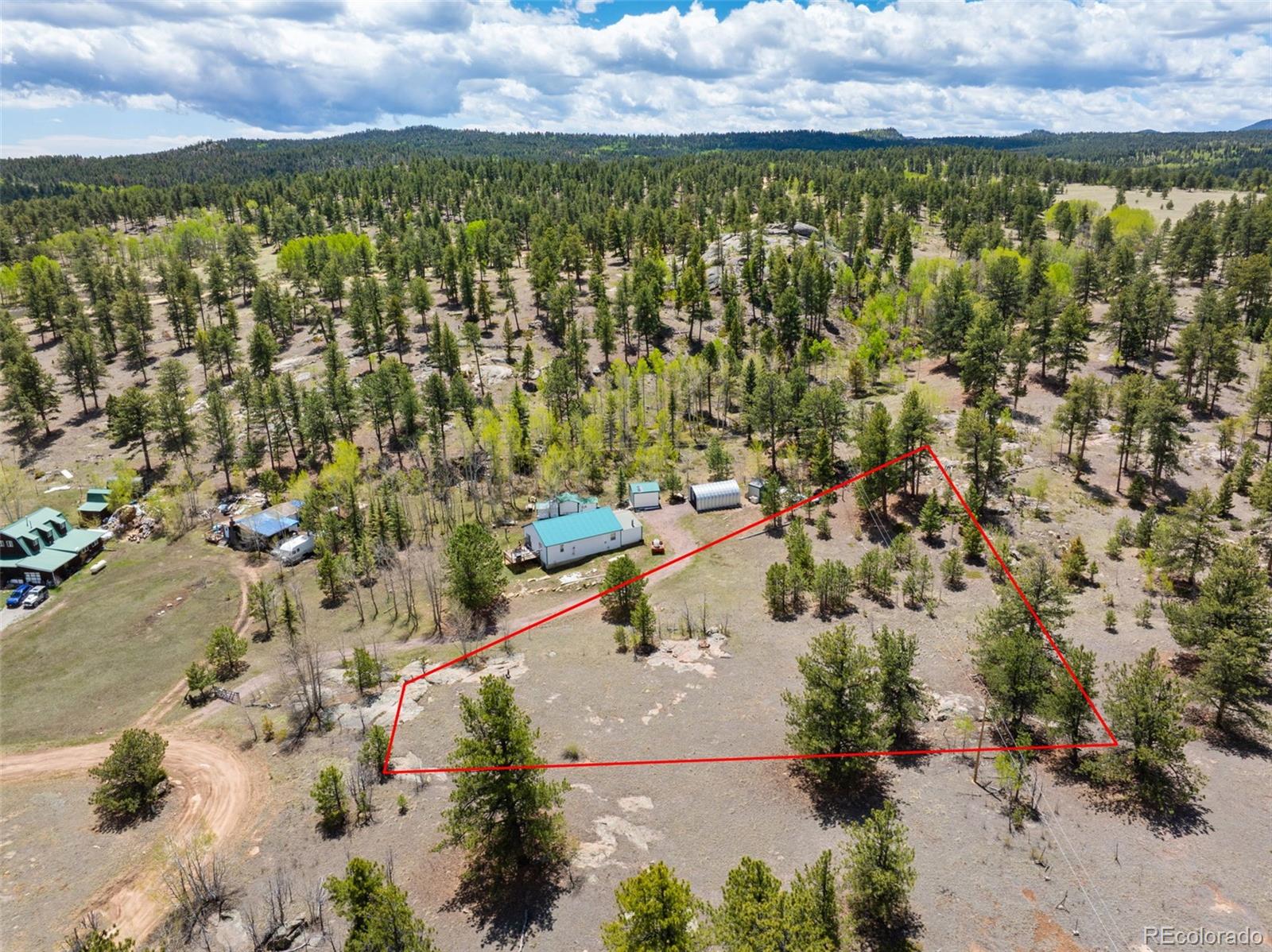 121 Bridle Lane Florissant CO 80816