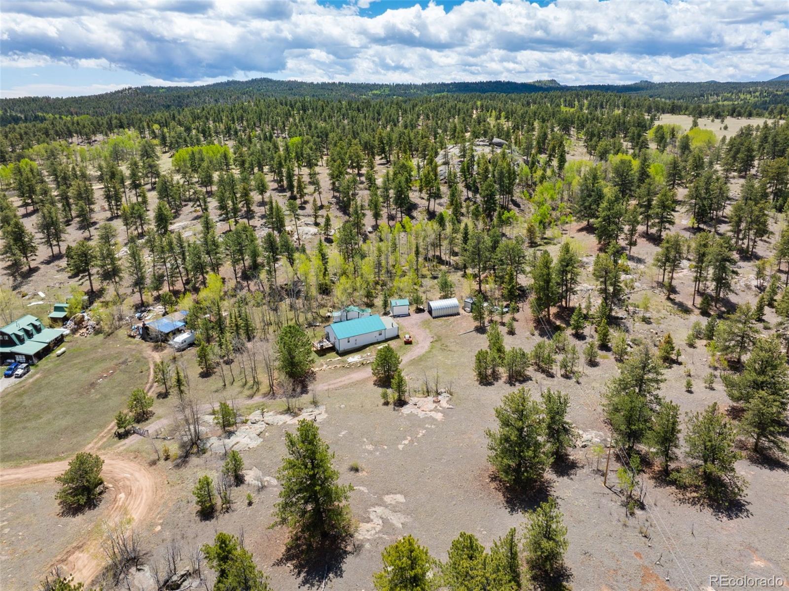 121 Bridle Lane Florissant CO 80816