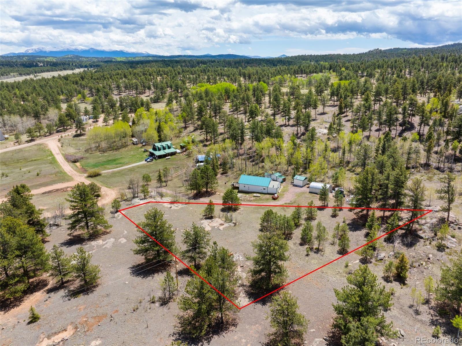 121 Bridle Lane Florissant CO 80816