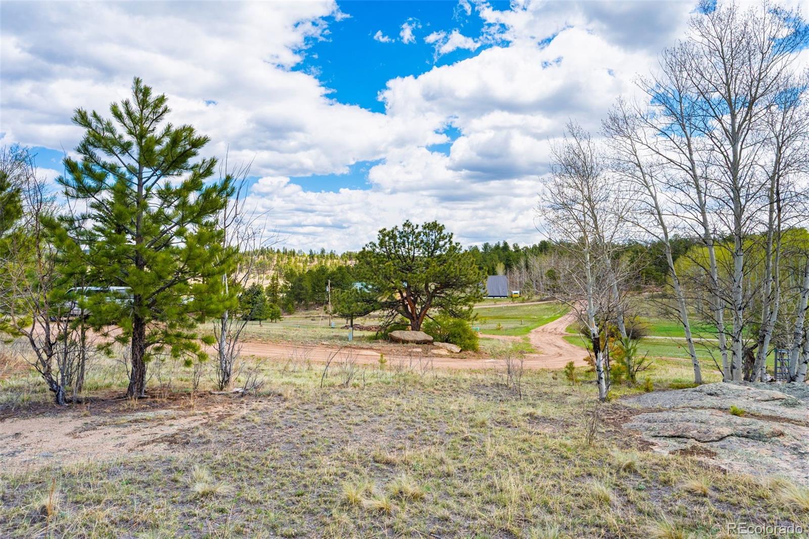 121 Bridle Lane Florissant CO 80816