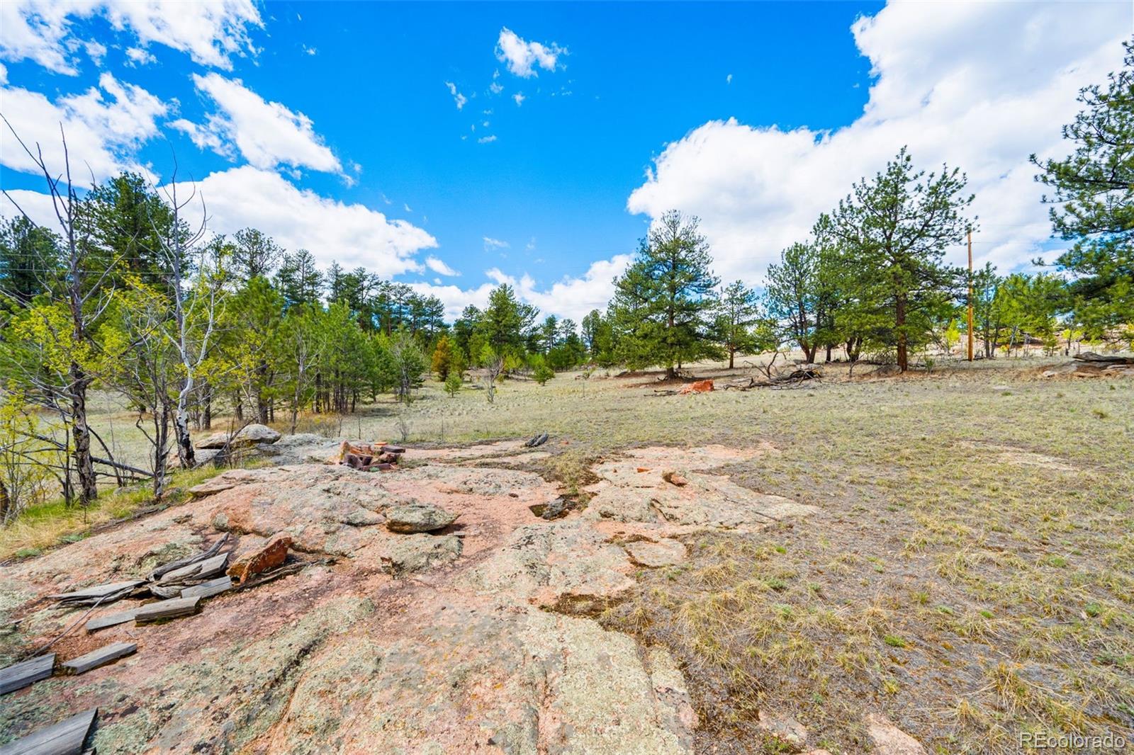 121 Bridle Lane Florissant CO 80816