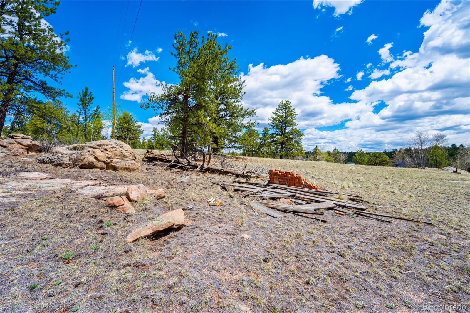 121 Bridle Lane Florissant CO 80816