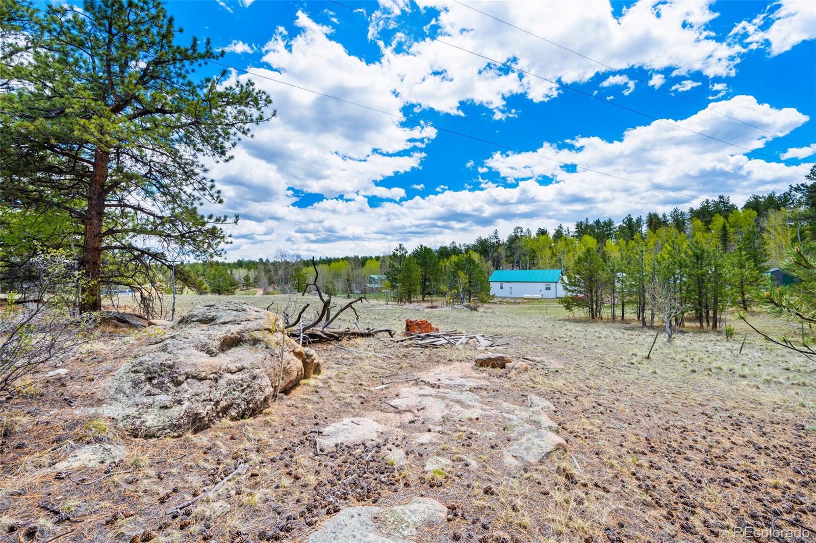 121 Bridle Lane Florissant CO 80816