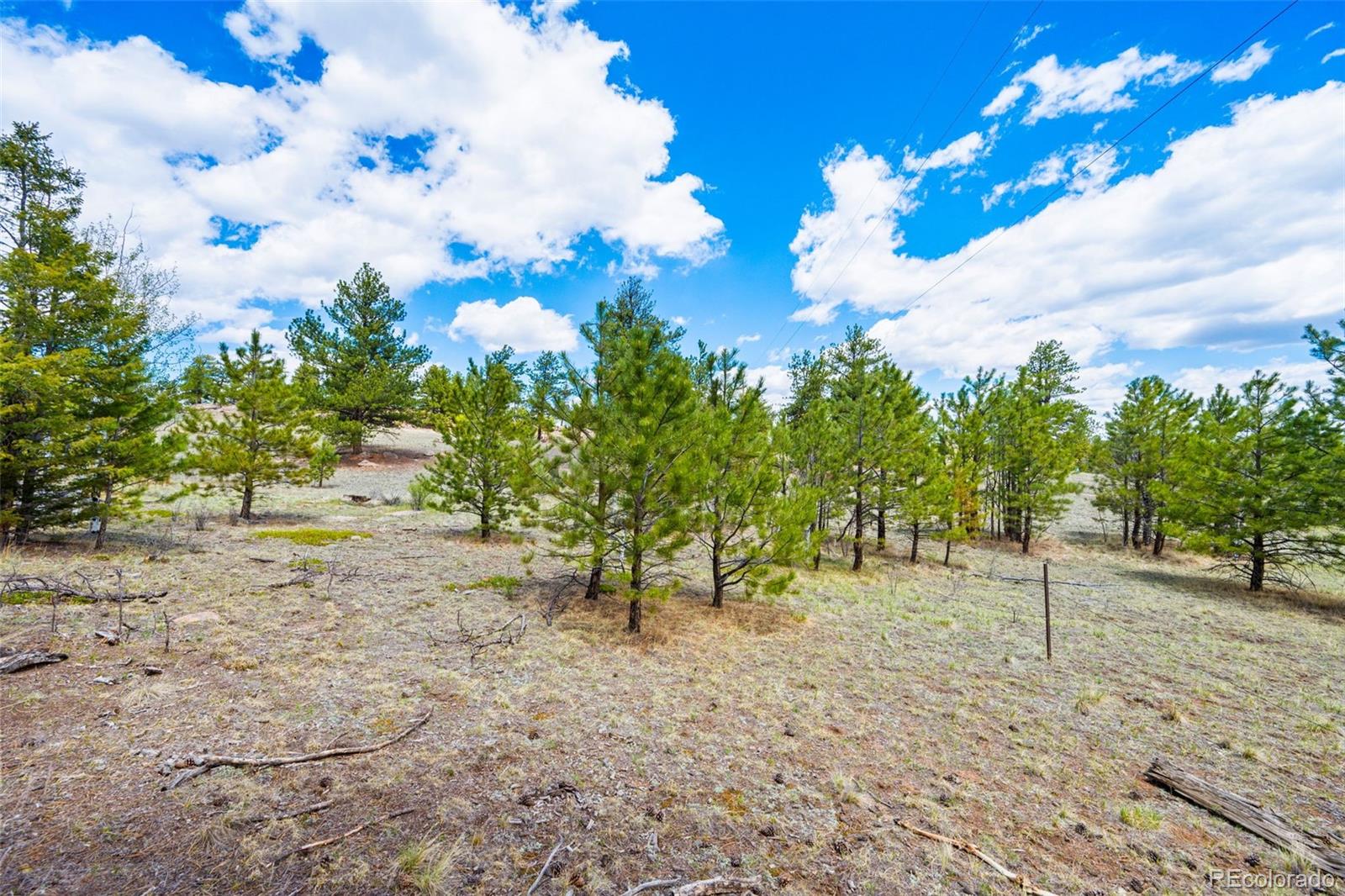 121 Bridle Lane Florissant CO 80816