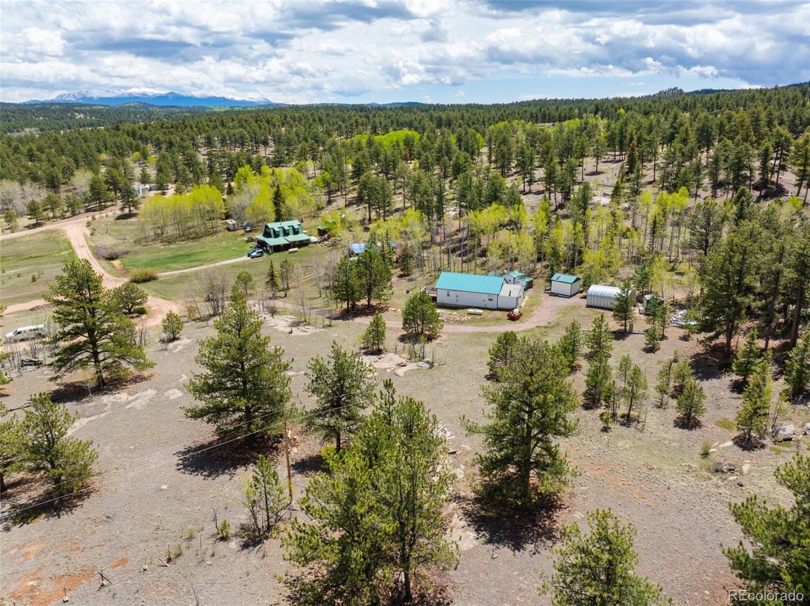 121 Bridle Lane Florissant CO 80816