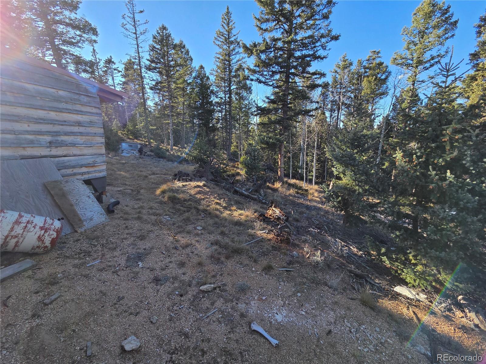 1434 Blue Mesa Drive Divide CO 80814