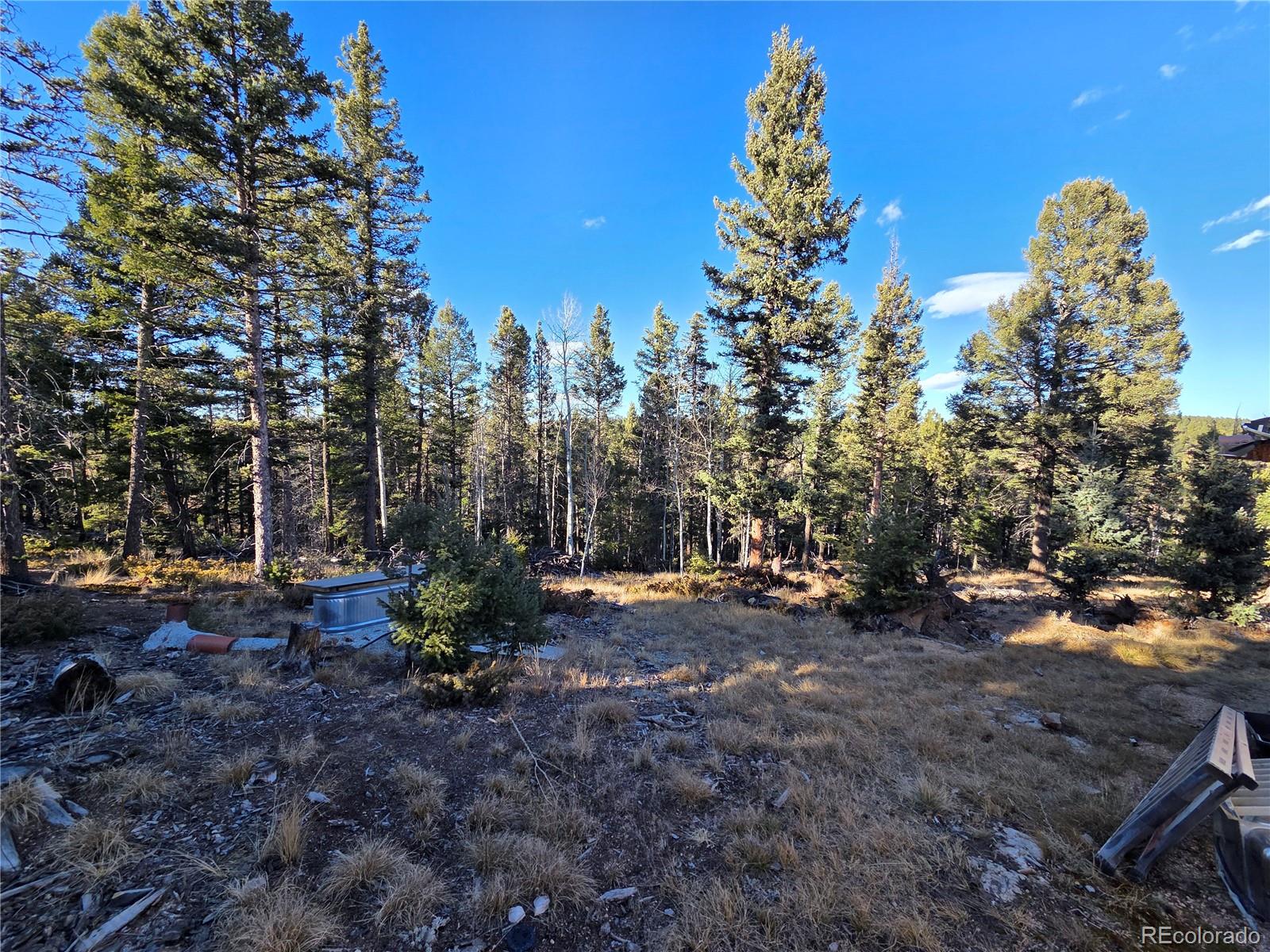1434 Blue Mesa Drive Divide CO 80814