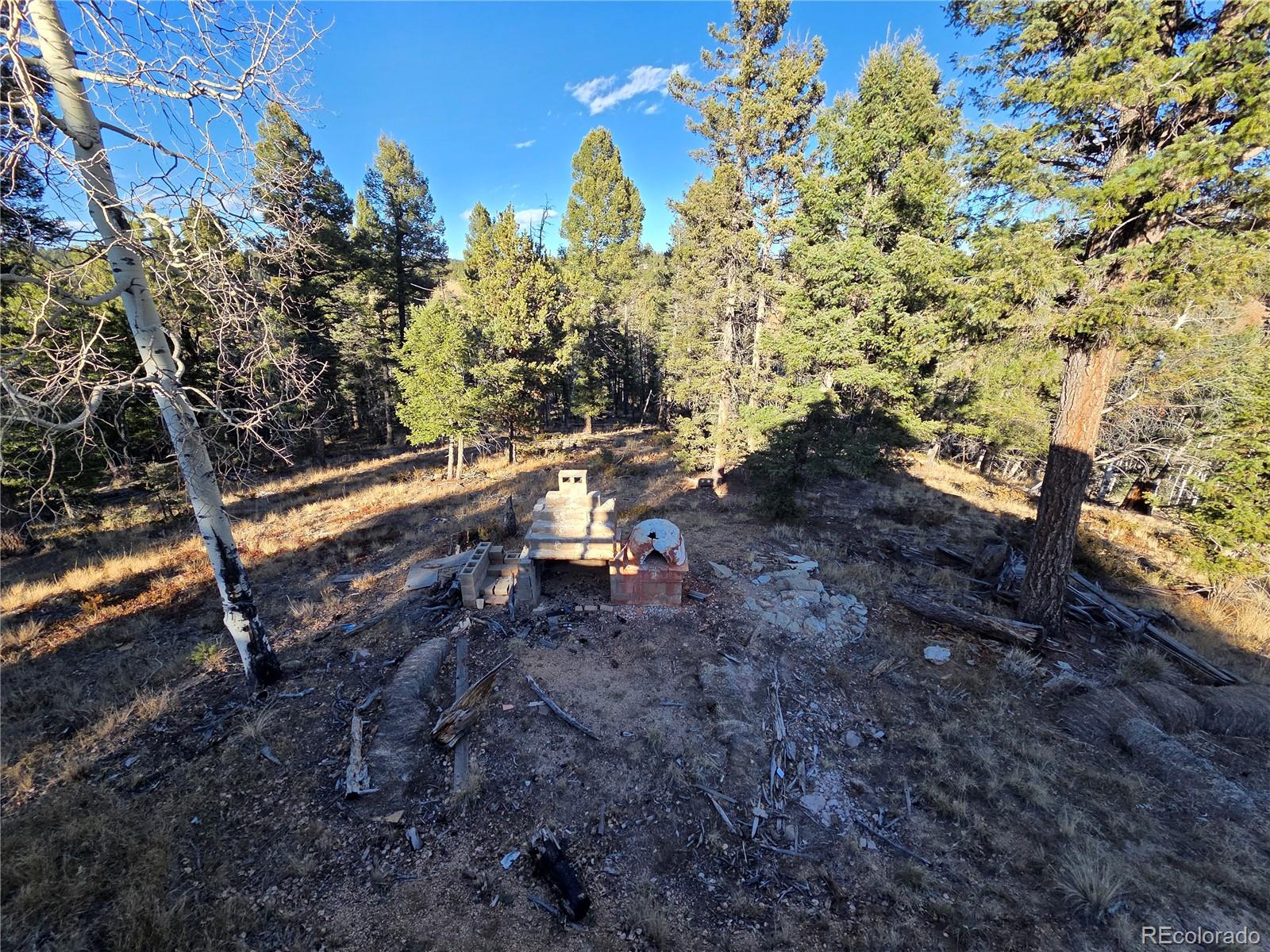 1434 Blue Mesa Drive Divide CO 80814