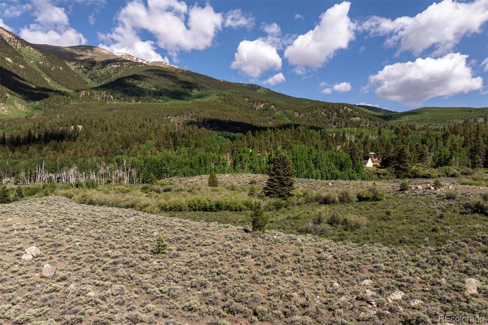 Lang Street Twin Lakes CO 81251