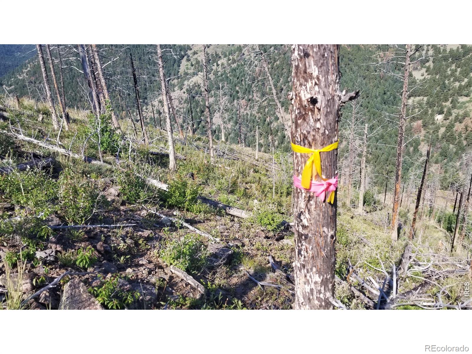 0 Gold Trail Boulder CO 80302